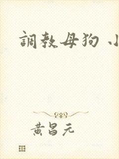 调教母狗 小说