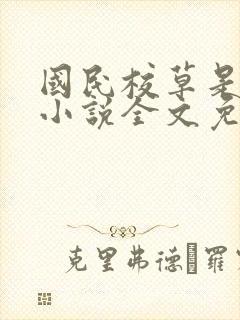 国民校草是女生小说全文免费阅读