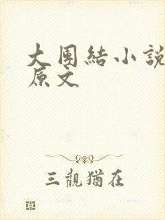 大团结小说阅读原文封面