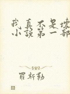 我真不是坏男人小说第一部封面