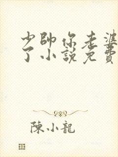 少帅你老婆又跑了小说免费下载