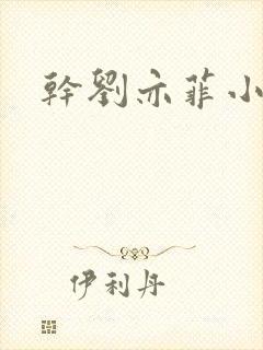 干刘亦菲小说