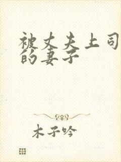 被丈夫上司调教的妻子封面