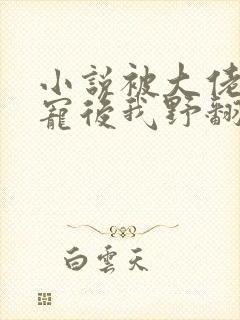 小说被大佬们团宠后我野翻了免费阅读全文封面