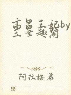 高昌王妃by黛玉笔趣阁封面