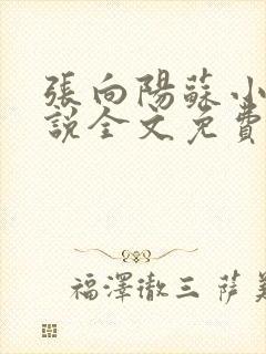 张向阳苏小棠小说全文免费阅读笔趣阁