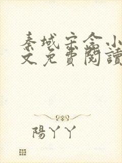 秦域宋念小说全文免费阅读封面