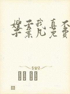 嫂子我真不是傻子叶凡免费下载封面