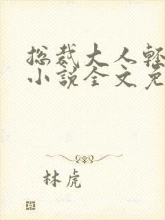 总裁大人轻点儿小说全文免费阅读