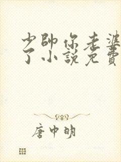 少帅你老婆又跑了小说免费阅读全文封面