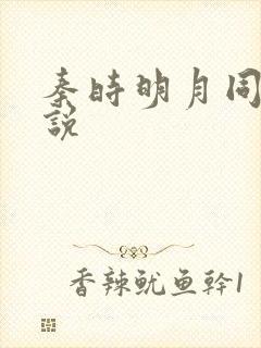 秦时明月同人小说封面