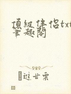 顶级伴侣txt笔趣阁