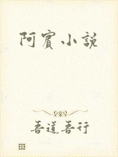 阿宾小说