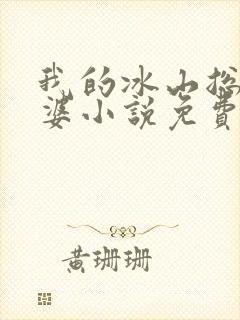 我的冰山总裁老婆小说免费阅读