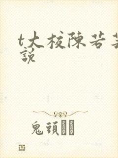t大校陈若芸小说封面