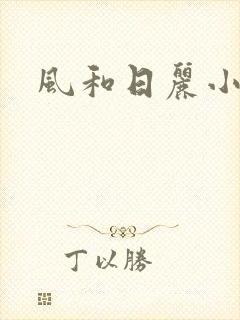 风和日丽小说