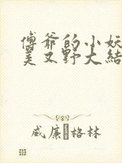 傅爷的小妖精又美又野大结局