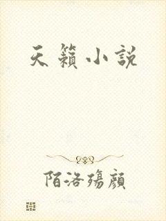 天籁小说