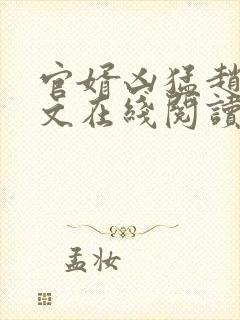 官婿凶猛赵阳全文在线阅读
