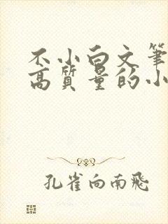 不小白文笔好的高质量的小说