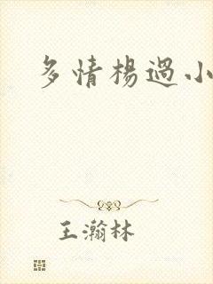 多情杨过小说