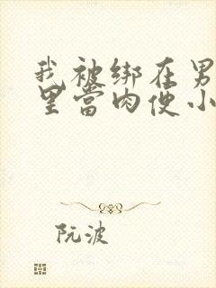 我被绑在男公厕里当肉便小说