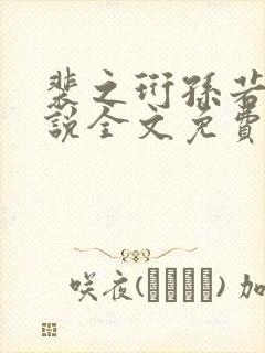 裴之珩孙若微小说全文免费阅读笔趣封面