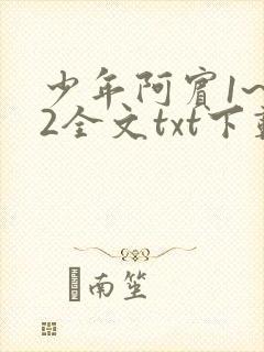 少年阿宾1~72全文txt下载