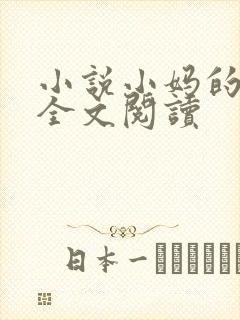 小说小妈的温柔全文阅读封面