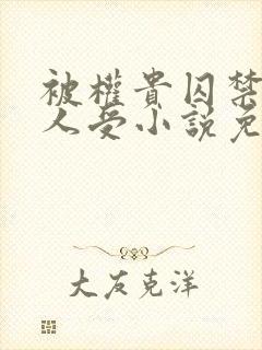 被权贵囚禁的美人受小说免费阅读下