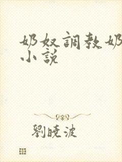奶奴调教奶头的小说封面