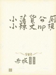 小荡货公厕h文小辣文np视频