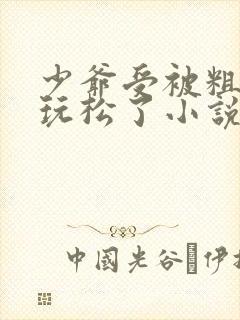 少爷受被粗汉H玩松了小说