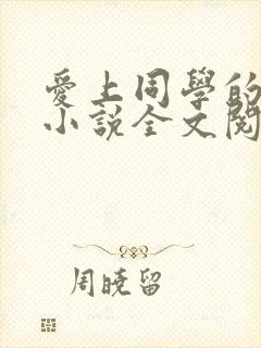 爱上同学的妈妈小说全文阅读