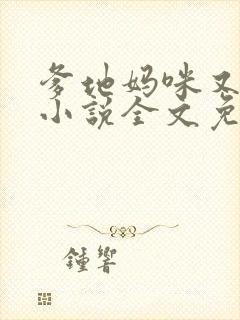 爹地妈咪又跑了小说全文免费封面