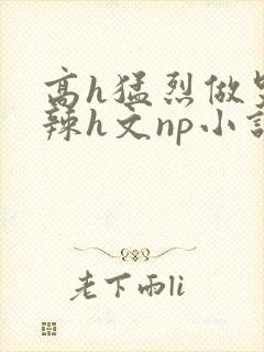 高h猛烈做哭高辣h文np小说