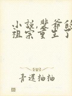 小说,裴爷的小祖宗重生了