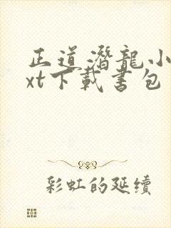 正道潜龙小说txt下载书包网