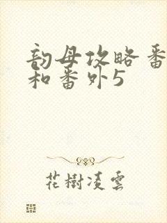 韵母攻略番外4和番外5封面