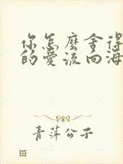 你怎么舍得让我的爱流向海