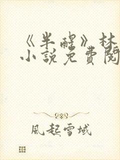 《半醒》林言年小说免费阅读无弹窗