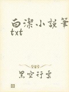 白洁小说笔趣阁txt