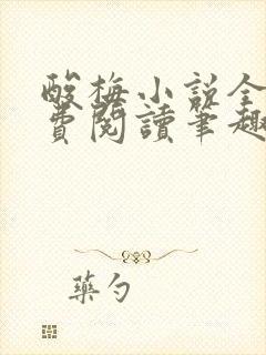 酸梅小说全文免费阅读笔趣阁封面