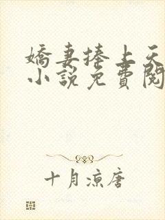 娇妻捧上天全文小说免费阅读封面