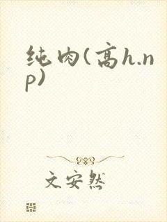 纯肉(高h.np)