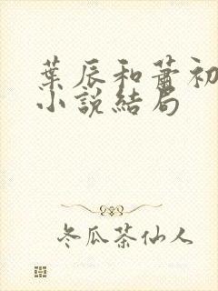 叶辰和萧初然的小说结局
