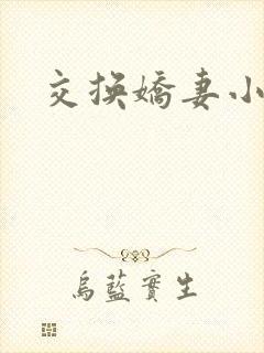交换娇妻小说