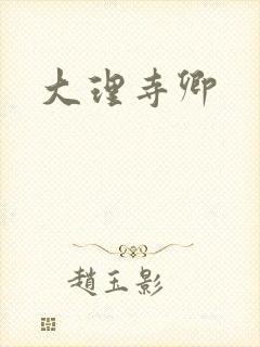 大理寺卿