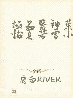 极品医神叶辰孙怡夏若雪小说封面