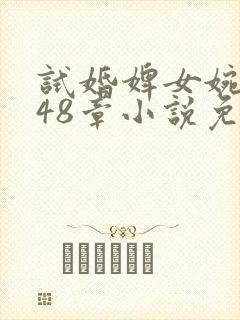 试婚婢女婉娘148章小说免费阅读封面